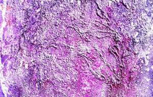 さくらデジタル - 久保田 俊