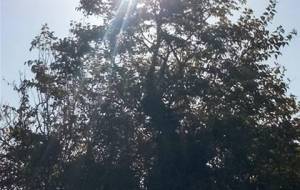 僕はおじさんただのおじさん - 真鍋哲地