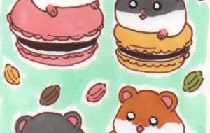 ハムスターとマカロン - ♢k_edge♢