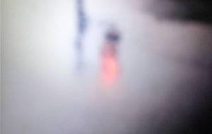 食いつくされた絵画亡骸 - 真鍋哲地