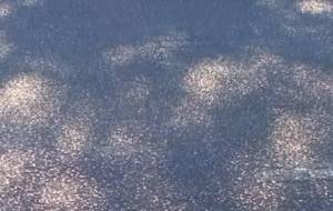 死ぬほど苦しい毎日 - 真鍋哲地