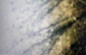 母さん僕のネギラーメン音頭神聖です - 真鍋哲地