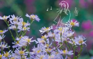 花園 - とん