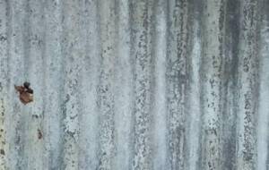 君と僕、共存、 - 真鍋哲地