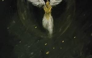 我大天使ビーム我光の粒子 - 真鍋哲地