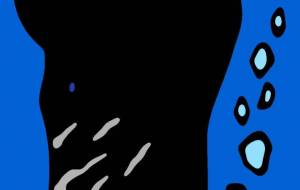 マッコウクジラ - シマハイエナ