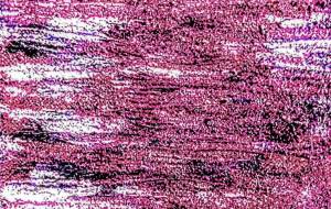 うみにゆうひ - 久保田 俊