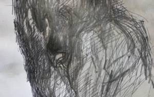 おばあちゃんが死んだ時泣いてばかりだった母 - 真鍋哲地