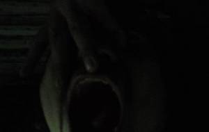 母ちゃんー母ちゃんー母ちゃんー母ちゃん - 真鍋哲地