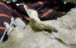 母さん命懸け作品、僕 - 真鍋哲地