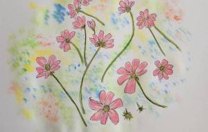 コスモス - ことり