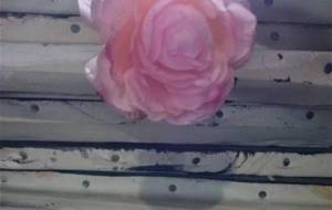 認知症後光奇跡を - 真鍋哲地