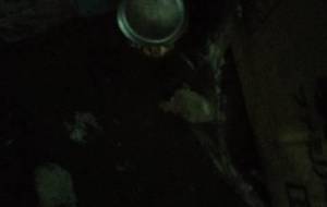 悲しい暗闇、それでいい - 真鍋哲地