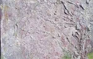 さくら - 久保田 俊