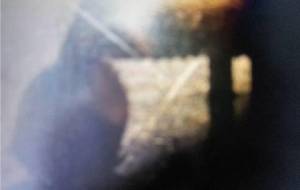 母さん愛し過ぎる影 - 真鍋哲地