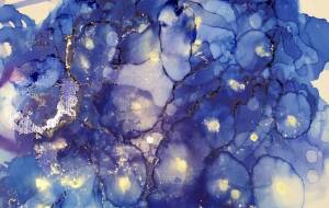 あさがお - 縄井亜祐美