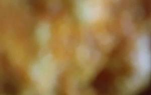 お菓子達、生きる意味 - 真鍋哲地