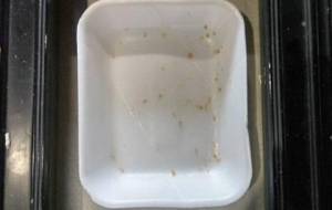 いんすたぁれいしょん作品廃棄物 - 真鍋哲地