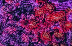 はな? - 久保田 俊