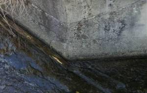 生きるこころの痛み、無意味な人生 - 真鍋哲地