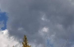 いつも、一緒だたね、母さん - 真鍋哲地