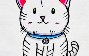 緑色の目のねこ - wasabi