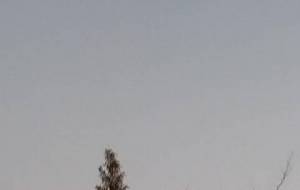 母さんと飲み物買いに、笑いながら、ただ、悲しい - 真鍋哲地