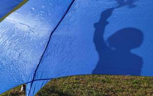 1ページ - おおた まめ