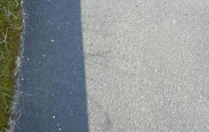 母さん秋が来たよ母さんのいない秋 - 真鍋哲地