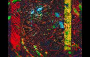 Butterfly - しょも