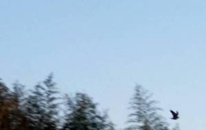 怖くないよ、逃げなくてイイョ - 真鍋哲地