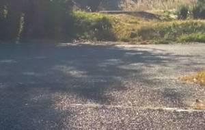 母さん朝だよ母さん朝だーよーっ - 真鍋哲地