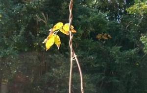 どんなに辛くても自殺は、ダメだよ! - 真鍋哲地