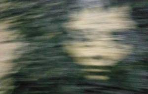 何のため生きて、母さん僕のいのち - 真鍋哲地