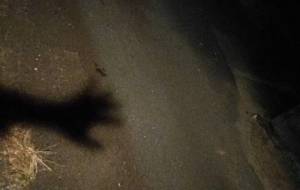 何のため苦しいでるてにおえない - 真鍋哲地