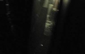 暗闇、家族鼓動 - 真鍋哲地