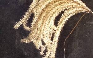 愛してる秋、遠い記憶、母さん、ばあちゃん - 真鍋哲地