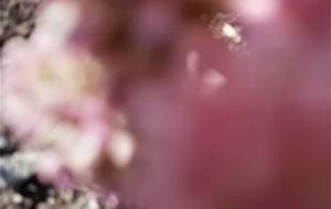 静かに、笑い合う - 真鍋哲地