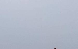 愛の思、命懸け - 真鍋哲地