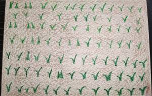 苗 - Aria(アリア)