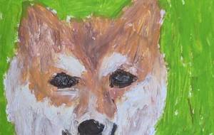 陽気な柴犬 - ルーナ