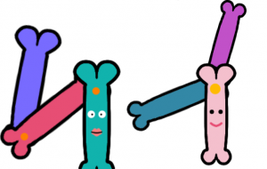 コキちゃん、ポキちゃん - しずく