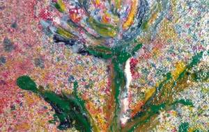 はな - 久保田 俊