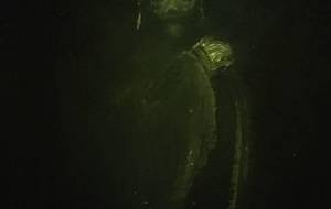 仏、絶食の思い - 真鍋哲地