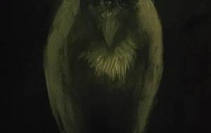 君、泣いてくれる?何処かで死んだセキセイインコ - 真鍋哲地