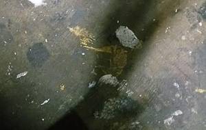 僕の意義のないアート - 真鍋哲地