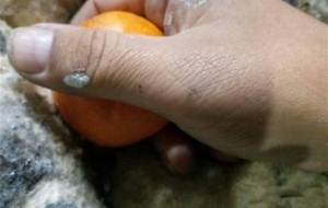 まるで、腐ったミカン食べるみたいに - 真鍋哲地