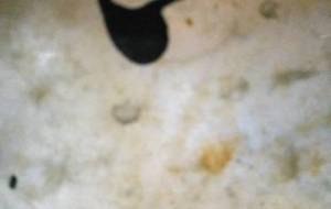 汚れ尊い、汚れアート - 真鍋哲地