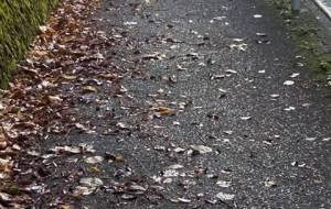 母さん僕、行かなくちゃ - 真鍋哲地