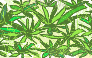 葉っぱ - ゆふーち